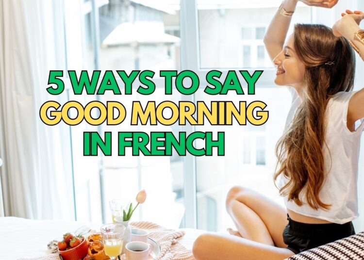 11 Ways To Say I DON T UNDERSTAND In French NeedFrench