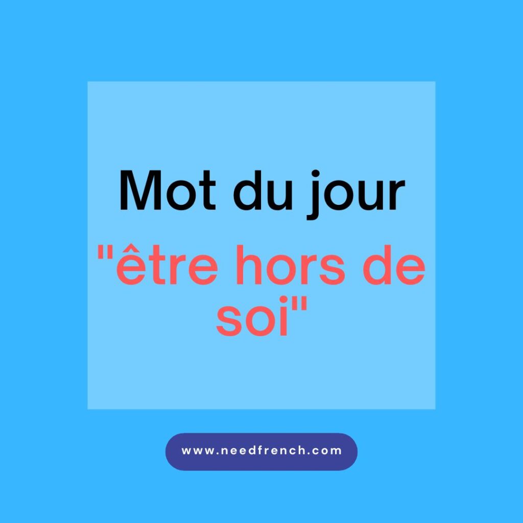 The 3 Meanings Of si NeedFrench the-3-meanings-of-si-needfrench