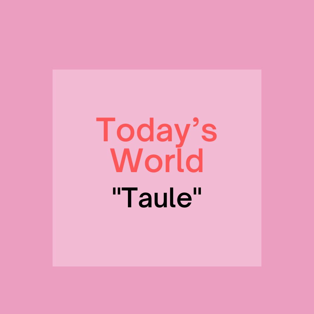 today-s-word-taule-needfrench