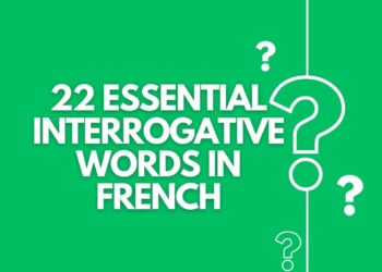 22 Essential Interrogative Words in French