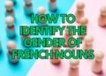 How to Identify the Gender of French Nouns