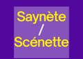 Saynète VS Scénette