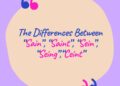 The Differences Between “Sain”, “Saint”, “Sein”, “Seing”,“Ceint”