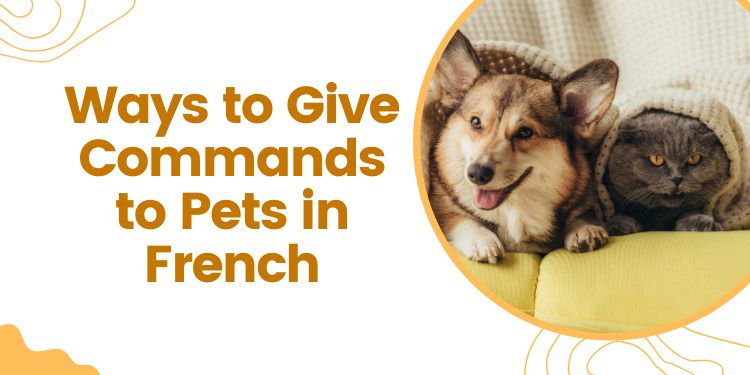 Ways to Give Commands to Pets in French