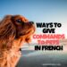 Ways to Give Commands to Pets in French