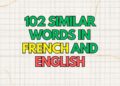 102 Similar words in French and English