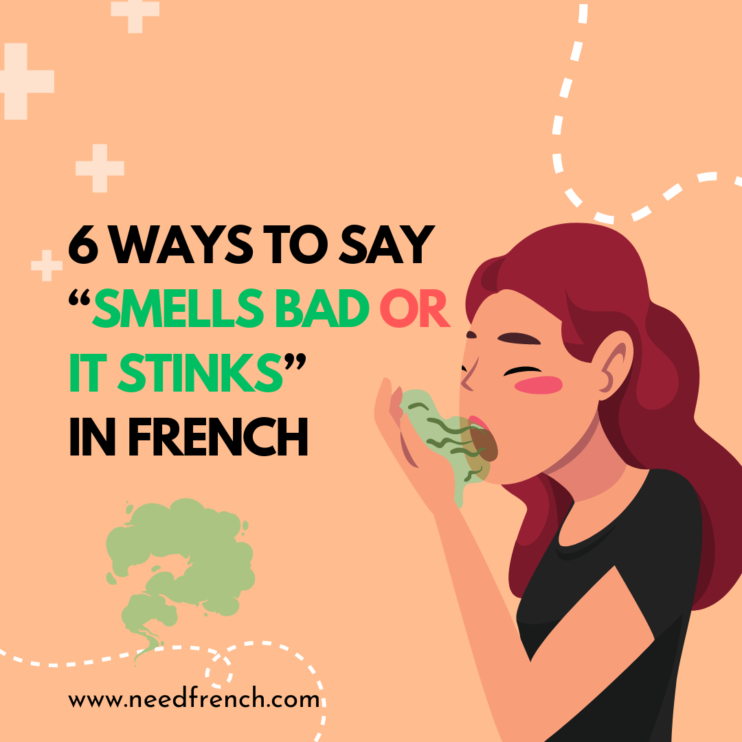 6-ways-to-say-it-stinks-in-french-needfrench