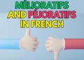 Mélioratifs and Péjoratifs in French