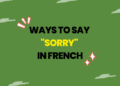 Ways to Say Sorry in French