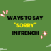 Ways to Say Sorry in French