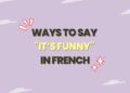 Ways to Say It’s Funny in French